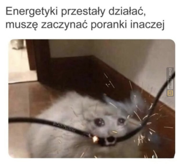 Śmieszny mem: 7595064 - MemLand