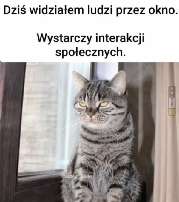 Śmieszny mem: 7599438 - MemLand