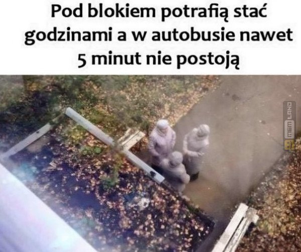 Śmieszny mem: 7603651 - MemLand