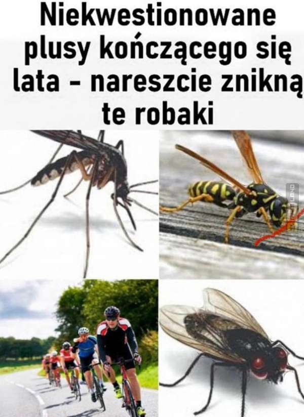 Śmieszny mem: 7610296 - MemLand