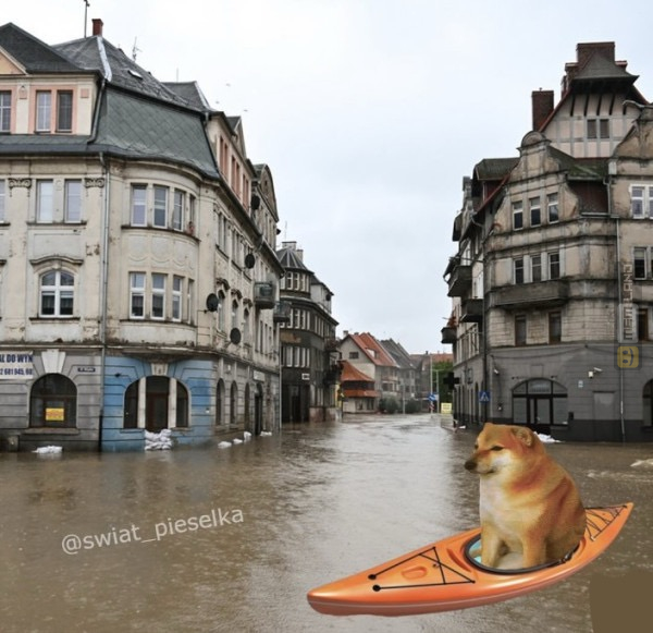 Śmieszny mem: 7610567 - MemLand