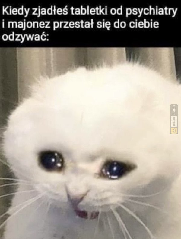 Śmieszny mem: 7618303 - MemLand