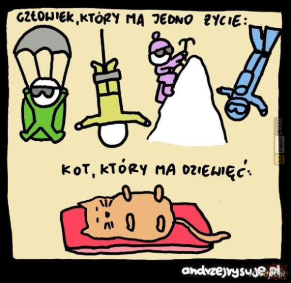 Śmieszny mem: 7622675 - MemLand