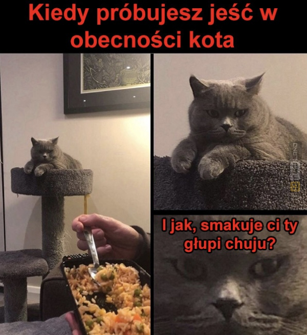 Śmieszny mem: 7622988 - MemLand