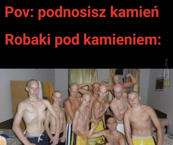 Śmieszny mem: 7623921 - MemLand