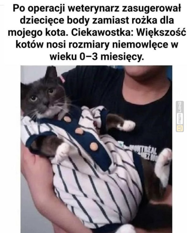 Śmieszny mem: 7624185 - MemLand