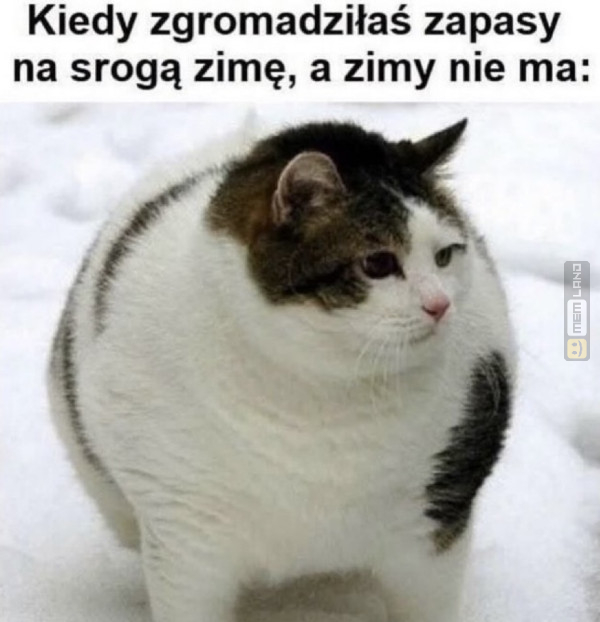 Śmieszny mem: 7629294 - MemLand