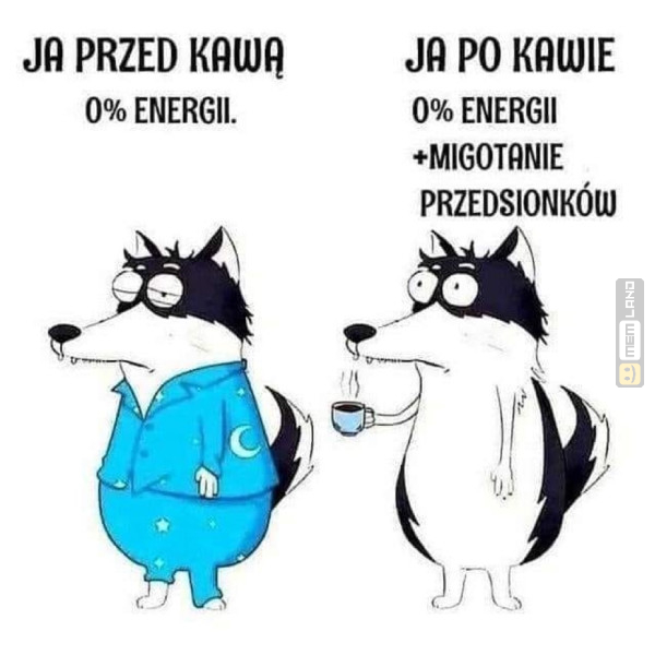 Śmieszny mem: 7633005 - MemLand