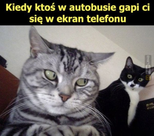 Śmieszny mem: 7634052 - MemLand