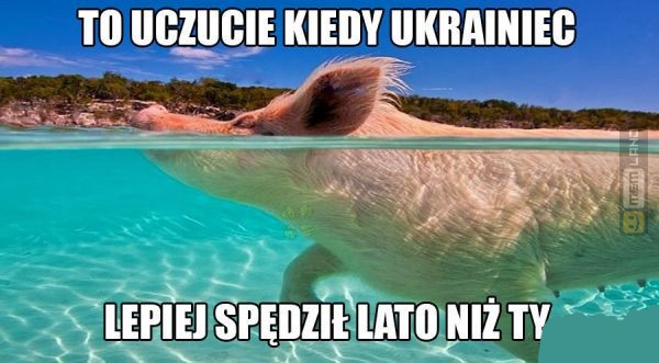 Śmieszny mem: 7643651 - MemLand