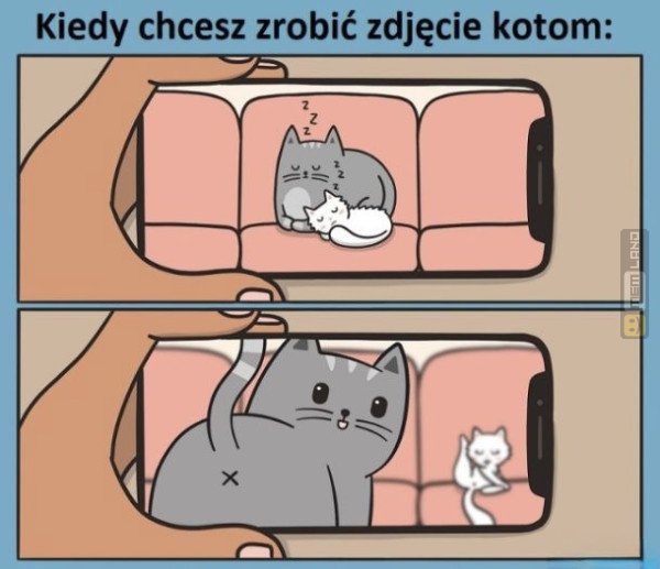 Śmieszny mem: 7645537 - MemLand