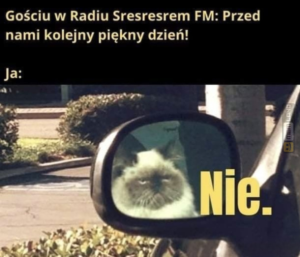 Śmieszny mem: 7650745 - MemLand