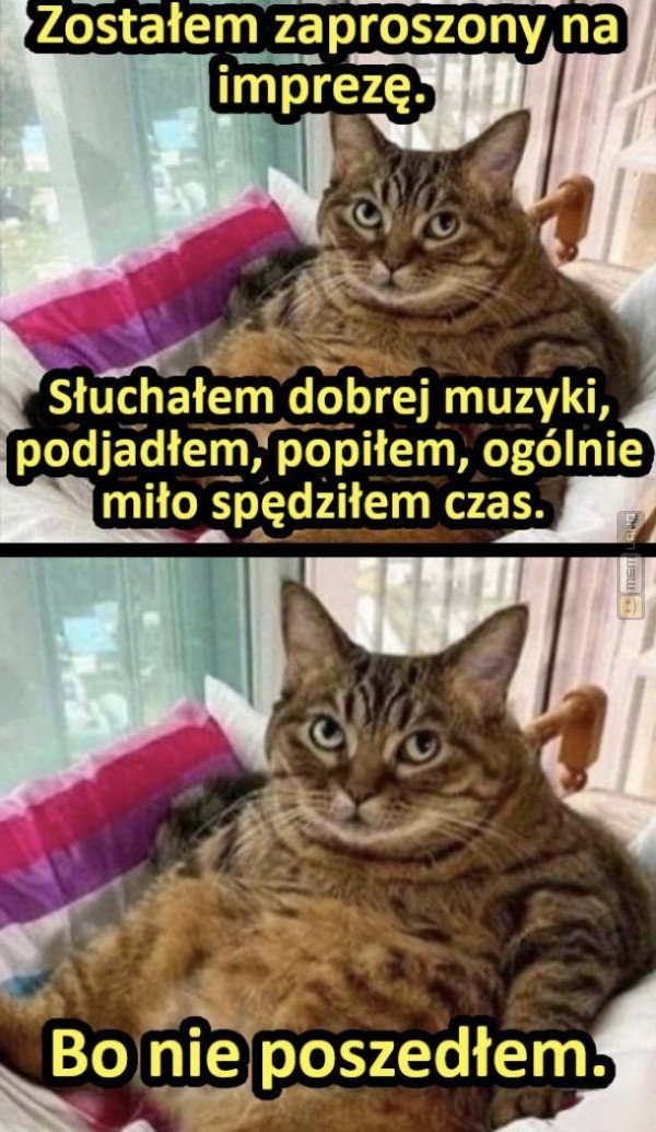 Śmieszny mem: 7651054 - MemLand