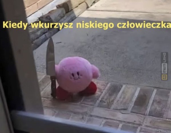 Śmieszny mem: 7655486 - MemLand