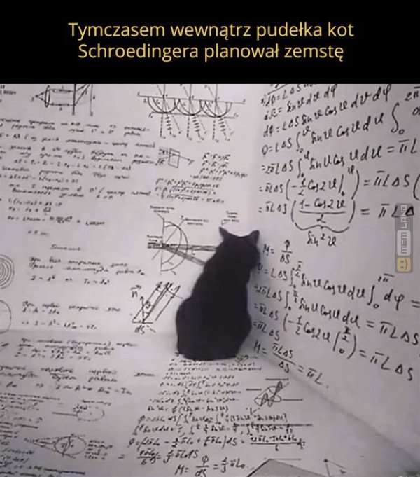 Śmieszny mem: 7658864 - MemLand