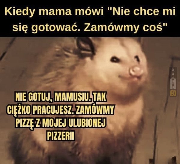 Śmieszny mem: 7660949 - MemLand