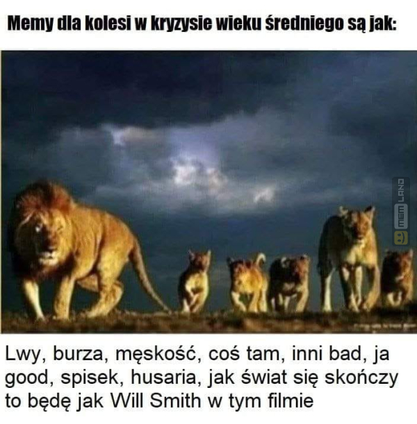 Śmieszny mem: 7667032 - MemLand