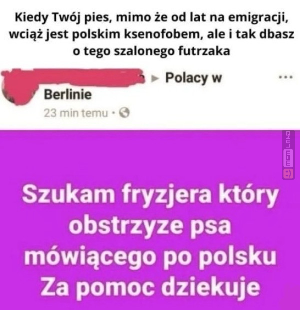 Śmieszny mem: 7675651 - MemLand