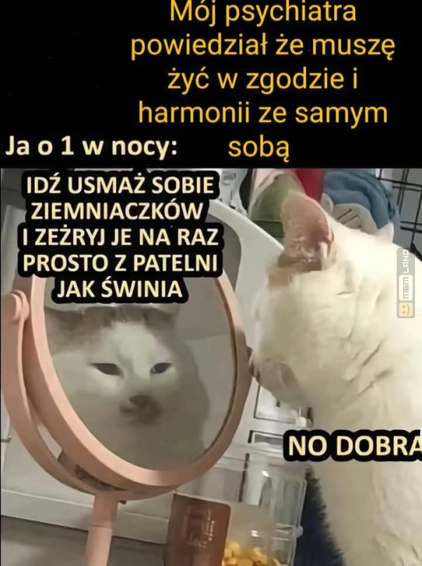 Śmieszny mem: 7682317 - MemLand