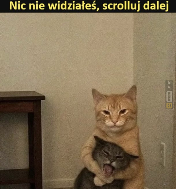 Śmieszny mem: 7683026 - MemLand