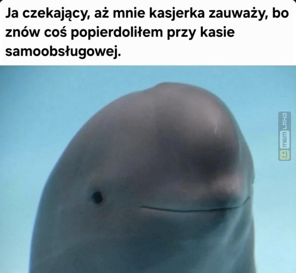 Śmieszny mem: 7684348 - MemLand