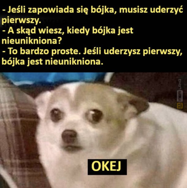 Śmieszny mem: 7684428 - MemLand