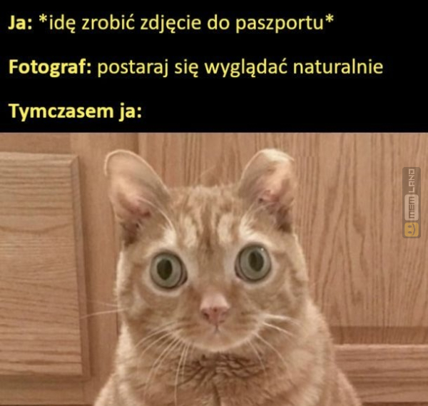 Śmieszny mem: 7706261 - MemLand