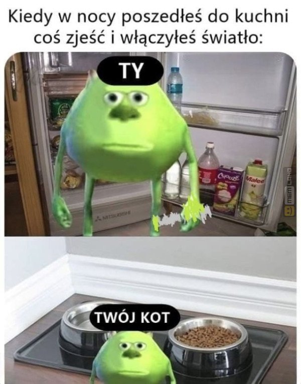 Śmieszny mem: 7711229 - MemLand