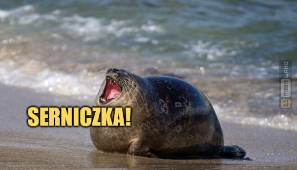 Śmieszny mem: 7715576 - MemLand