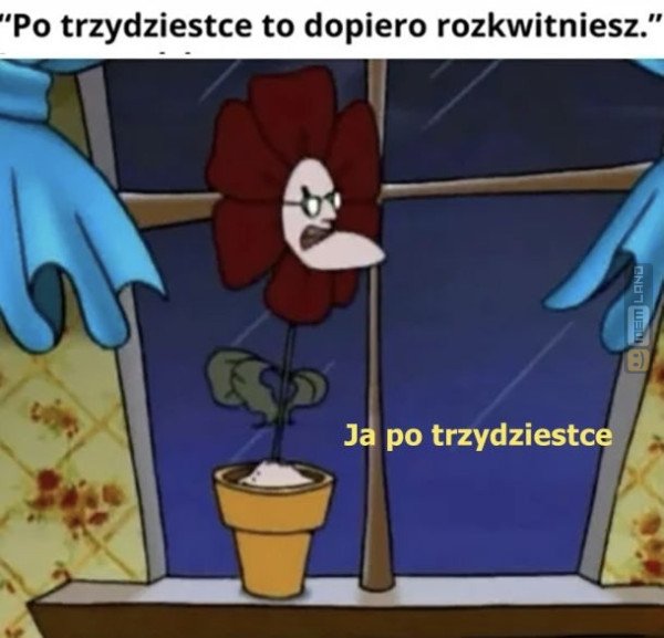 Śmieszny mem: 7719152 - MemLand