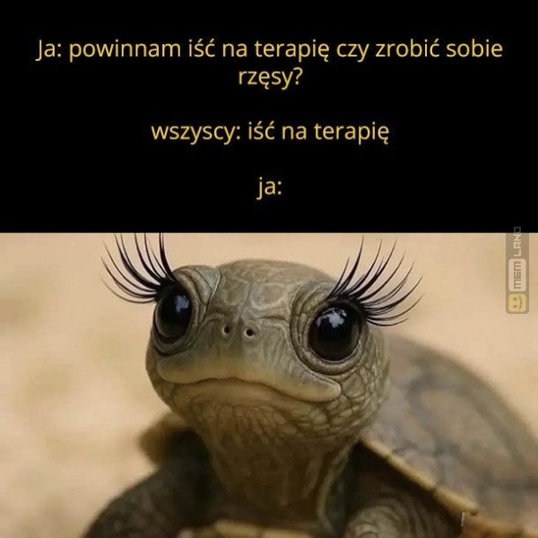 Śmieszny mem: 7721128 - MemLand
