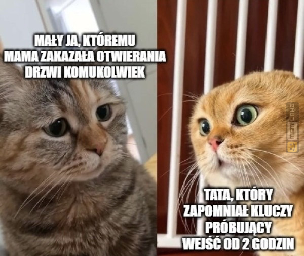 Śmieszny mem: 7721574 - MemLand