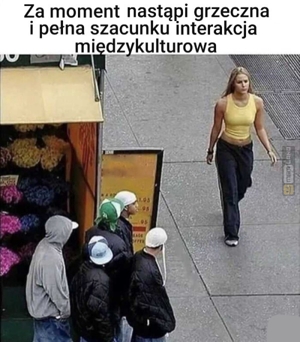 Śmieszny mem: 7729546 - MemLand