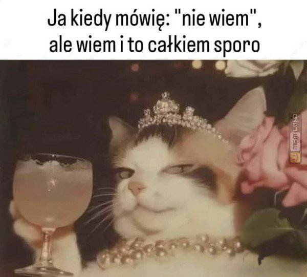 Śmieszny mem: 7744761 - MemLand