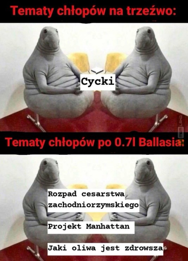 Śmieszny mem: 7752708 - MemLand
