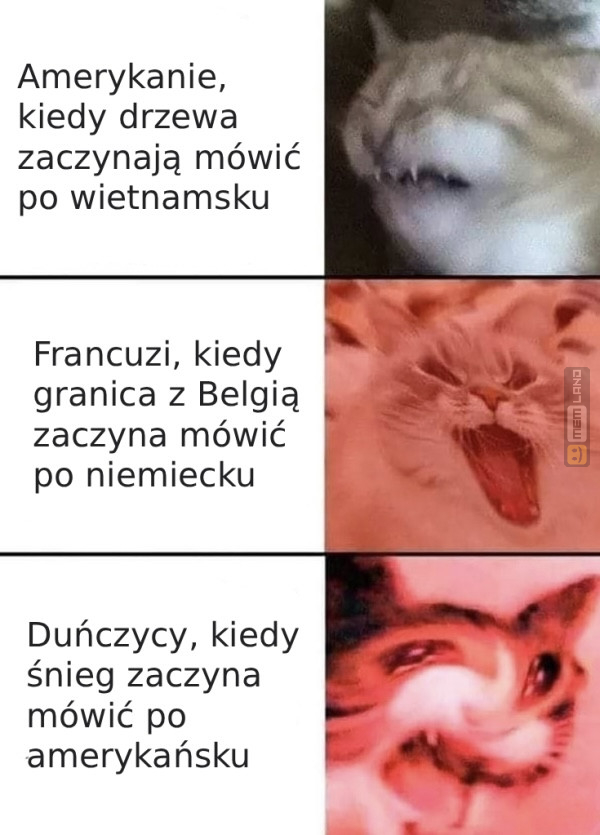 Śmieszny mem: 7760775 - MemLand
