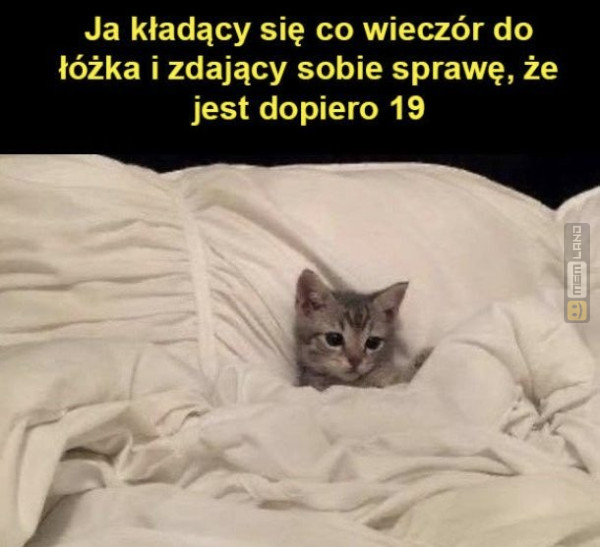 Śmieszny mem: 7764910 - MemLand