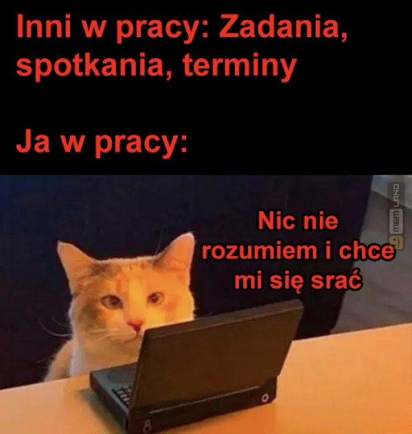 Śmieszny mem: 7767672 - MemLand