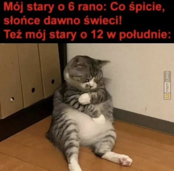 Śmieszny mem: 7767679 - MemLand