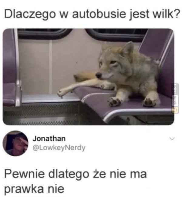Śmieszny mem: 7770885 - MemLand