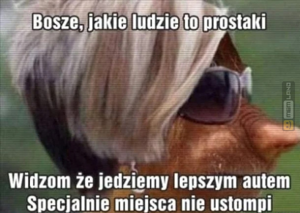 Śmieszny mem: 7778834 - MemLand