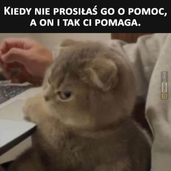 Śmieszny mem: 7802503 - MemLand