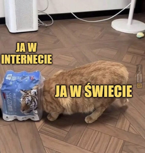 Śmieszny mem: 7810452 - MemLand