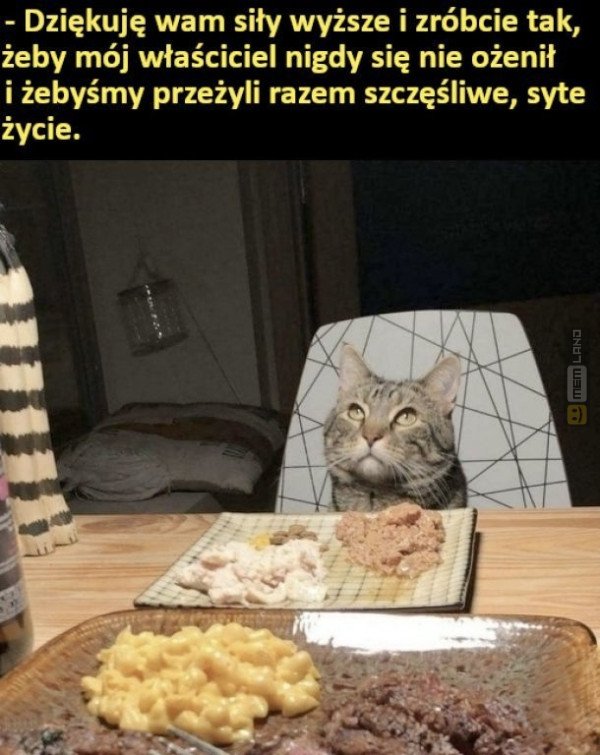 Śmieszny mem: 7810647 - MemLand