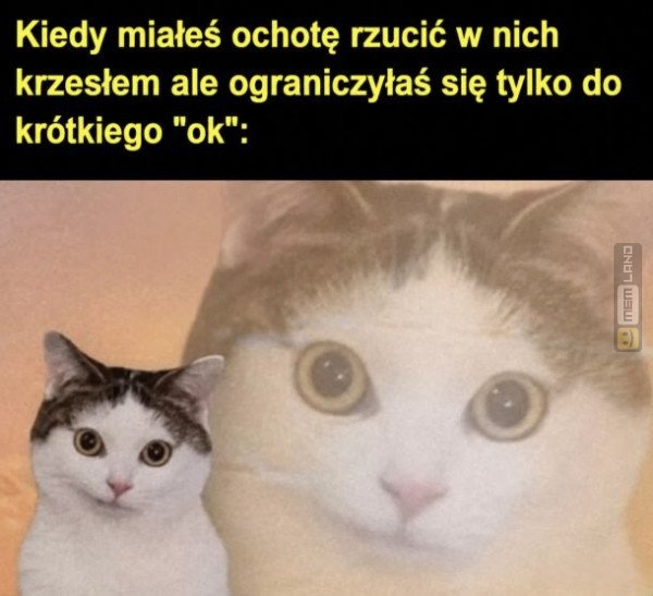 Śmieszny mem: 7813247 - MemLand