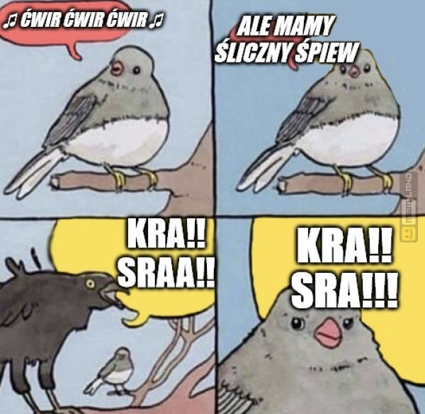 Śmieszny mem: 7816758 - MemLand