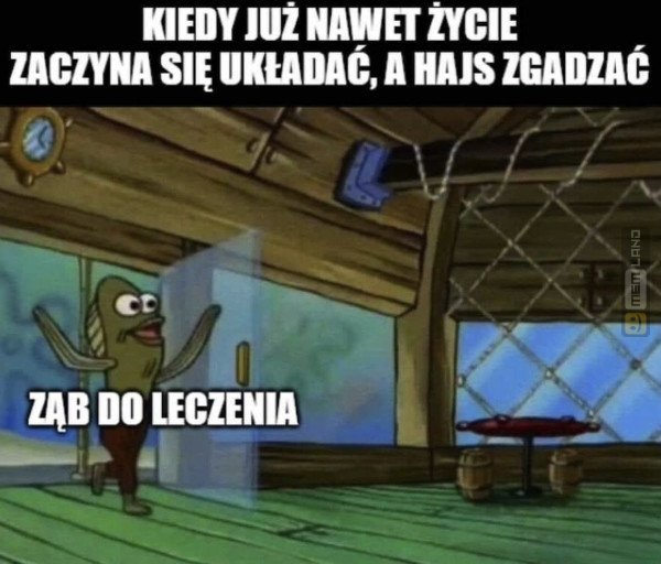 Śmieszny mem: 7819248 - MemLand