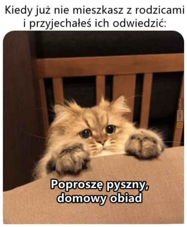 Śmieszny mem: 7824636 - MemLand