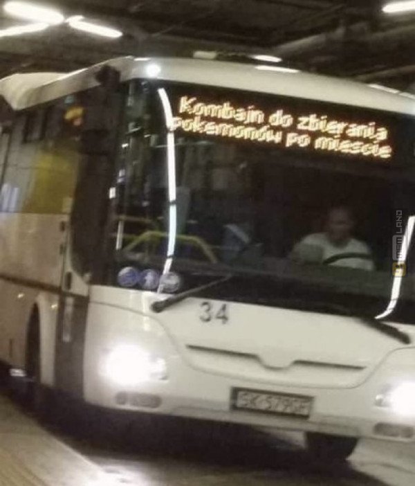 Śmieszny mem: 7824845 - MemLand