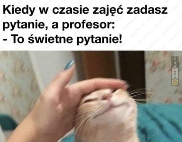 Śmieszny mem: 7826332 - MemLand